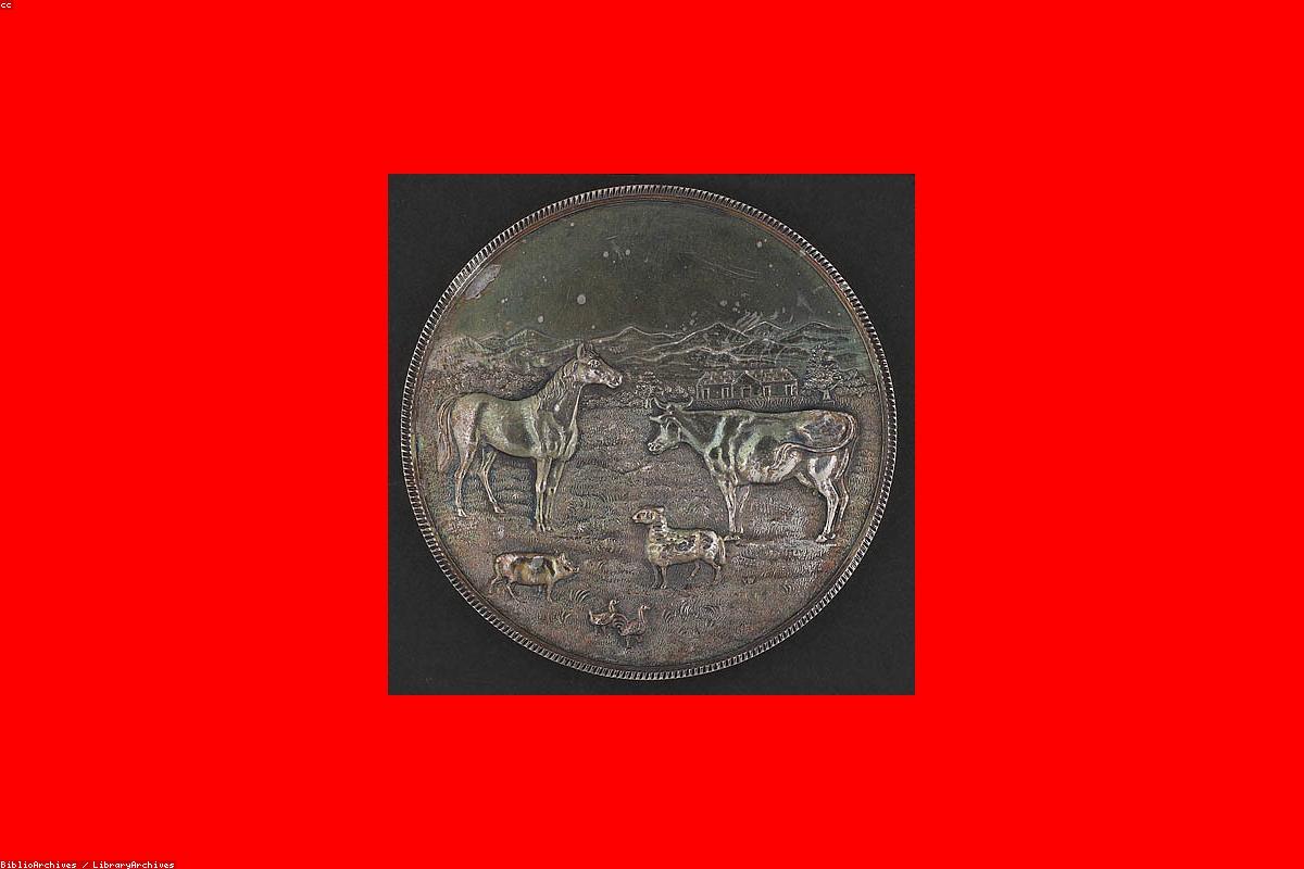Monnaies antiques romaines et grecques disposées dans des capsules de collection